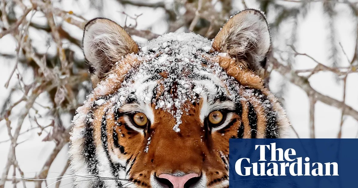 The Great Harvest Collapse: Why Earth’s Food Systems Are on the Brink of Extinction