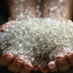 The Infinite Bottom Line: Why the Circular Economy Is Business’s Next Great Frontier