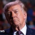 The Kremlin Connection: Trump and Putin Ink Surprise Diesel Deal to Reshape Global Markets