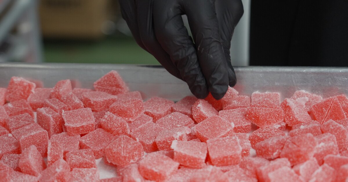 The Midnight Countdown: THC’s December Deadline Threatens a Multibillion-Dollar Reckoning