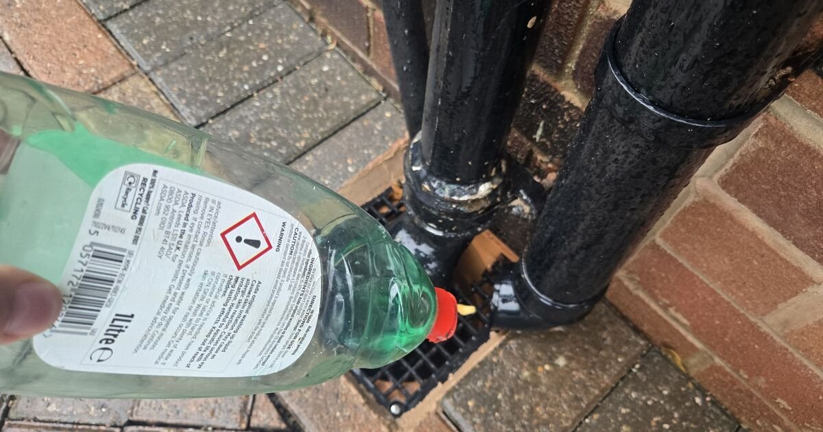 The Monday Morning Drain Hack Experts Say Could Save Your Plumbing