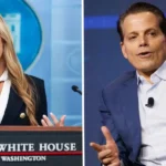 The Mooch Memo: Anthony Scaramucci’s Unfiltered Playbook for Katie Zacharia