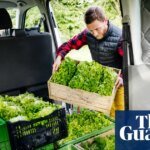 The Myth of the Food Mile: Why Buying Local Isn’t Always the Greenest Choice