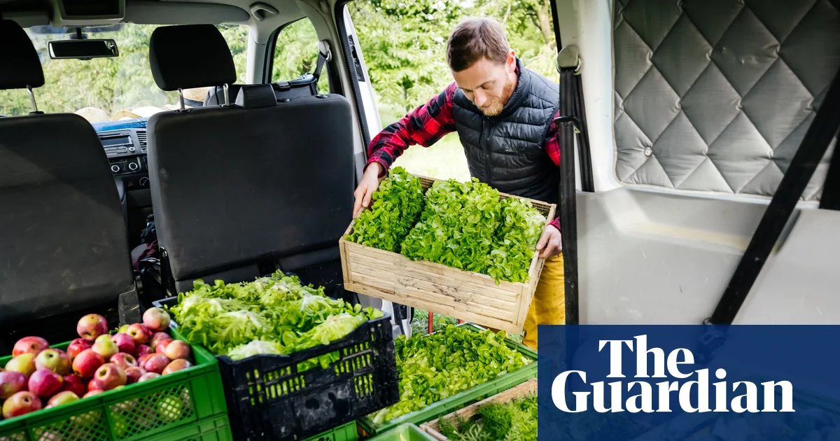 The Myth of the Food Mile: Why Buying Local Isn’t Always the Greenest Choice