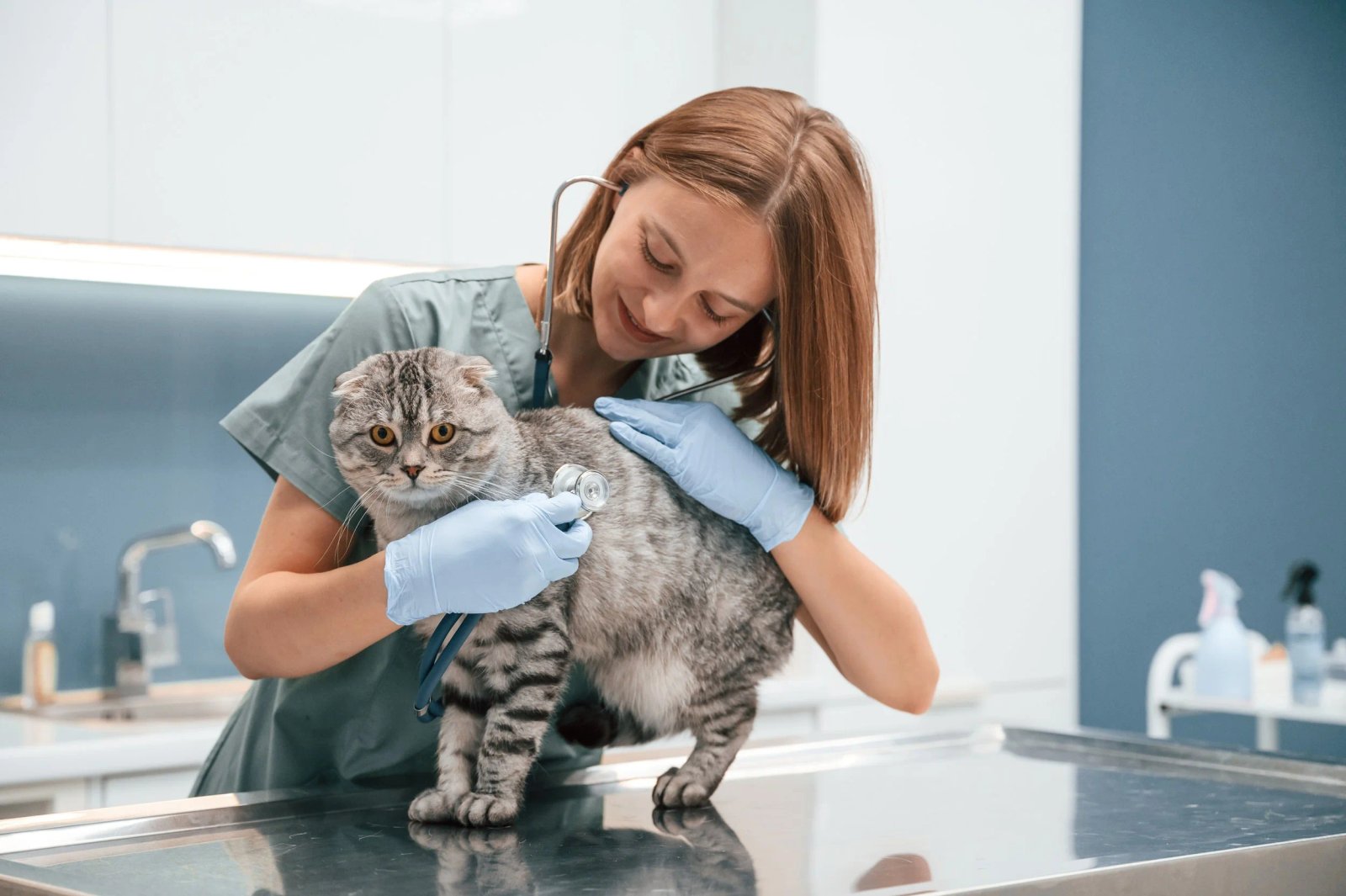 The Paw-se in Profit: Why Vet Clinics Must Pivot as Pet Owners Tighten Their Leashes
