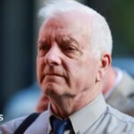 The Predator’s Proxy: Another Man Admits Role in Orchestrated Abuse Case