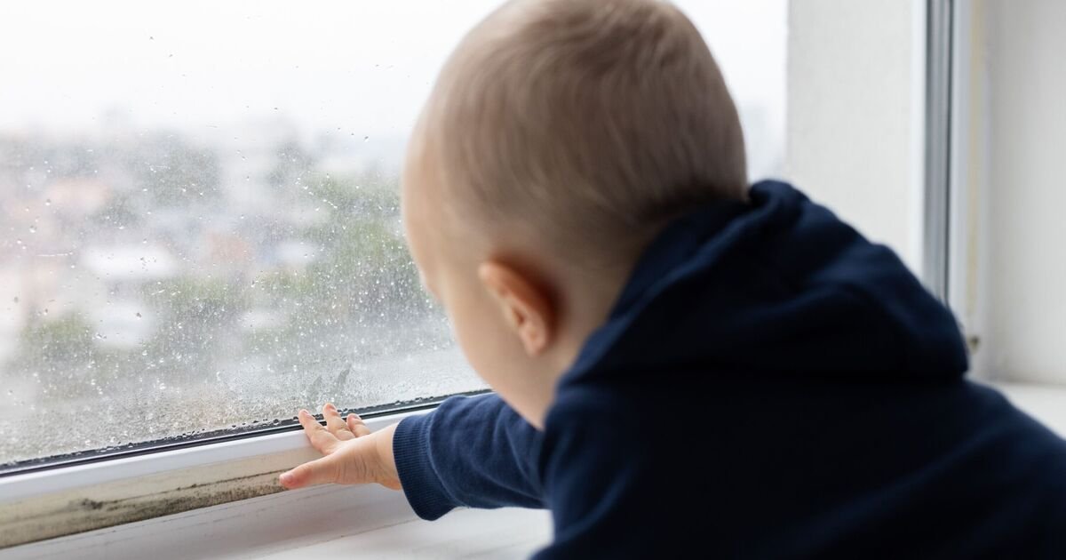 The Silent Spore Trap: The One Daily Habit Fueling Your Home’s Hidden Mould Crisis