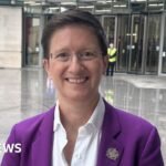 The Sunlight Crusader: One Woman’s Lone Fight to Keep British Industry from Fading