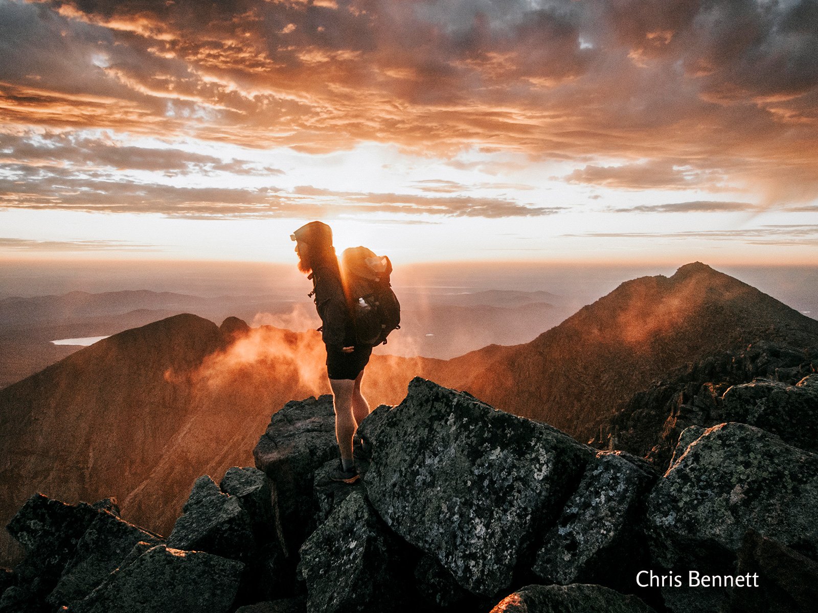 The Unyielding Vanguard: Defending Maine’s Wild Soul