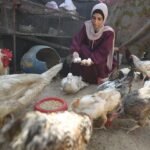Threads of Resilience: Gaza’s Artisans Defy Collapse to Keep Hope Alive