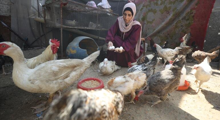 Threads of Resilience: Gaza’s Artisans Defy Collapse to Keep Hope Alive