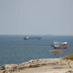 Tidal Peril: Persian Gulf’s Military Legacy Sparks Marine Crisis