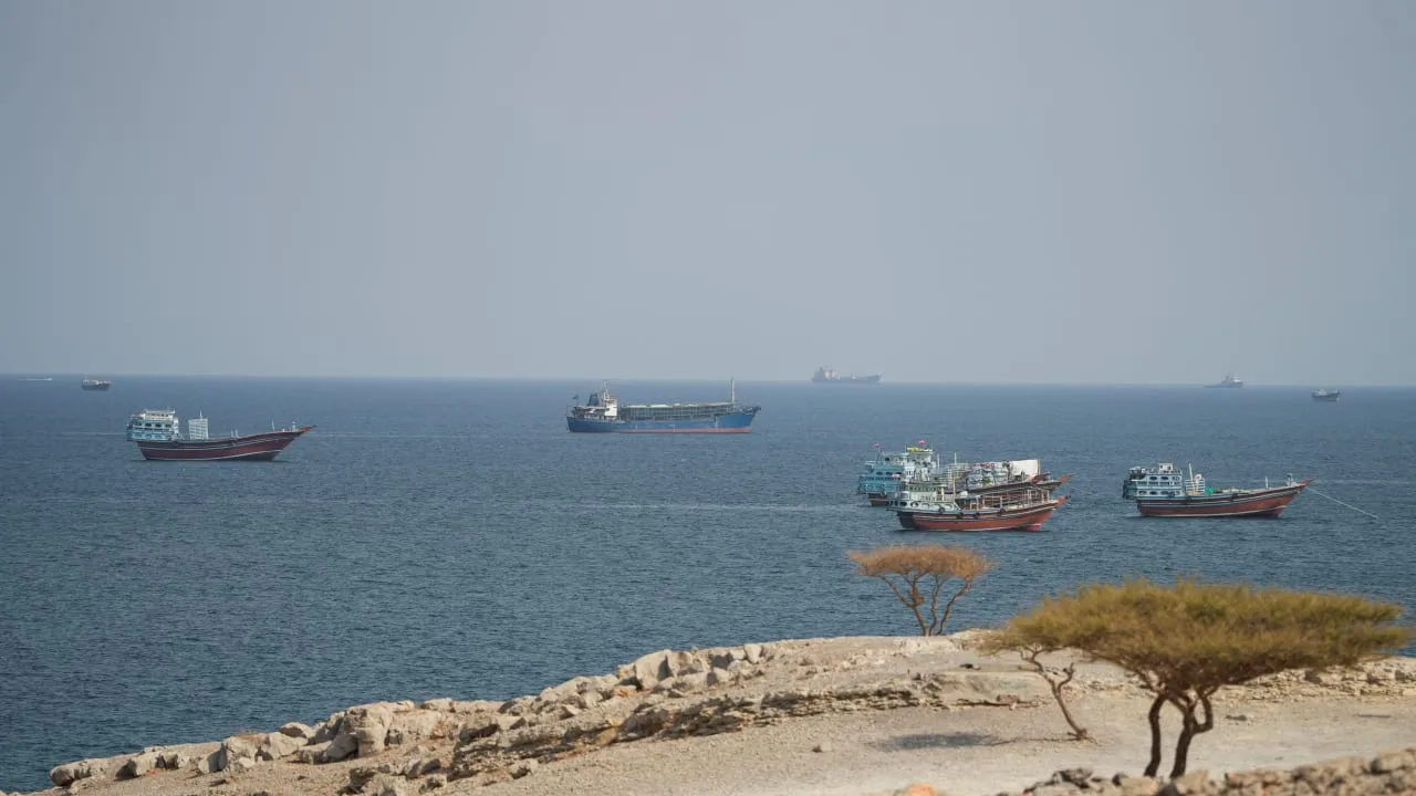 Tidal Peril: Persian Gulf’s Military Legacy Sparks Marine Crisis