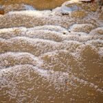 Tide of Toxic Plastic: Less Than 30% of Nurdle Spill Recovered as Cleanup Stalls