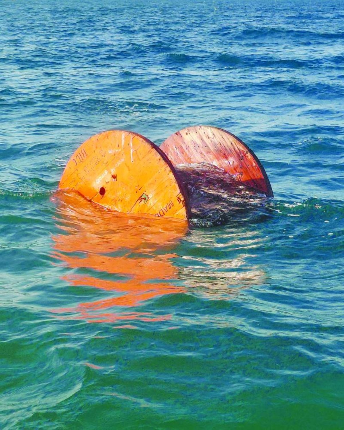 Tide of Trash Recedes: Ocean Cleanup Marks a New Era for Marine Recovery