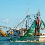 Tides of Change: Bipartisan Bill Aims to Anchor Coastal Resilience Through Regional Partnerships