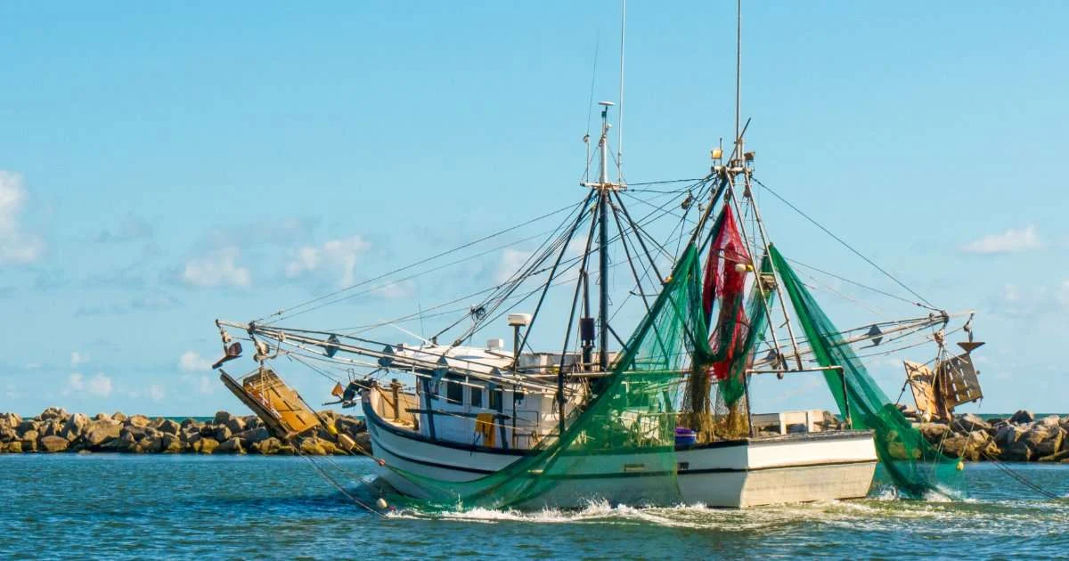 Tides of Change: Bipartisan Bill Aims to Anchor Coastal Resilience Through Regional Partnerships