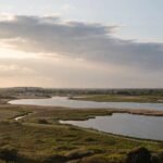 Tides of Change: Christchurch Harbour’s Bold Blueprint for a Greener Horizon