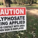Toxic Tide: Residents Outraged as Chemical Weed Killer Blankets Sheffield