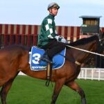Tragedy at Caulfield: Ohope Wins Euthanased Following Mid-Race Collapse