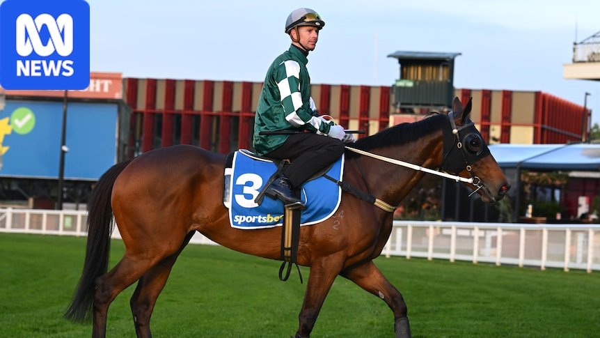 Tragedy at Caulfield: Ohope Wins Euthanased Following Mid-Race Collapse