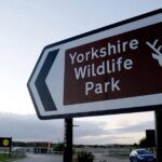 Tragedy at Yorkshire Wildlife Park: Tiger Attack Leaves Visitor Dead as Gates Remain Shut