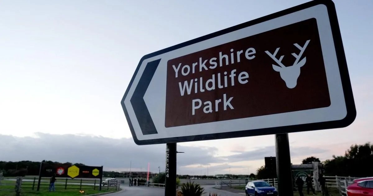Tragedy at Yorkshire Wildlife Park: Tiger Attack Leaves Visitor Dead as Gates Remain Shut