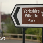 Tragedy at Yorkshire Wildlife Park: Zookeeper Killed in Tiger Mauling