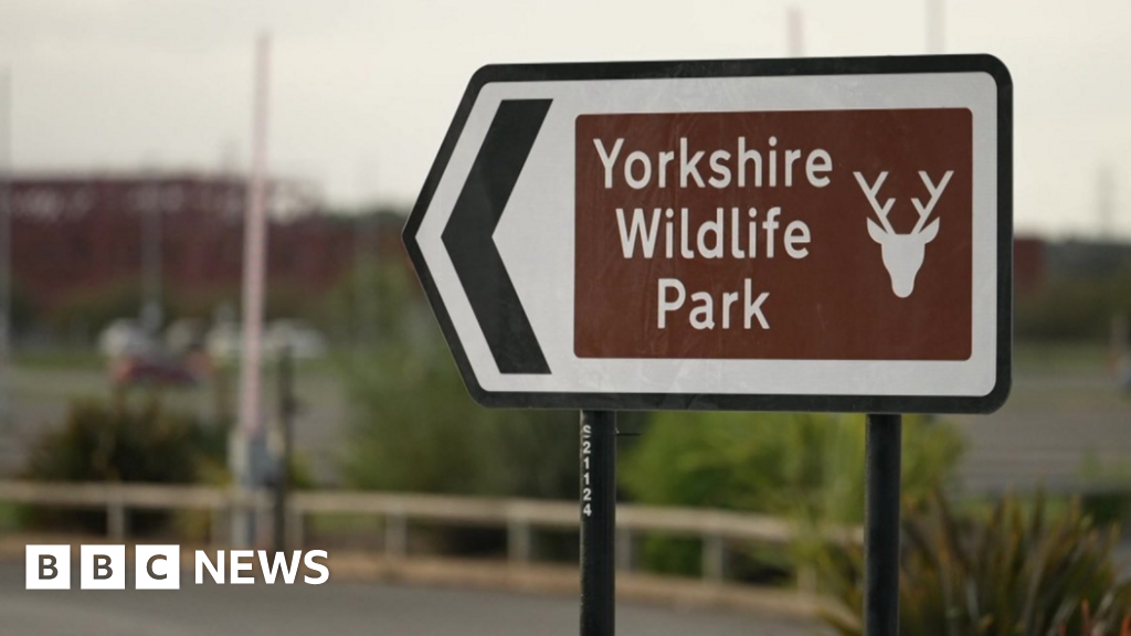 Tragedy at Yorkshire Wildlife Park: Zookeeper Killed in Tiger Mauling