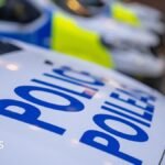Tragedy in the Highlands: Dual Fatalities as Light Aircraft Plummets Near Loch Lomond