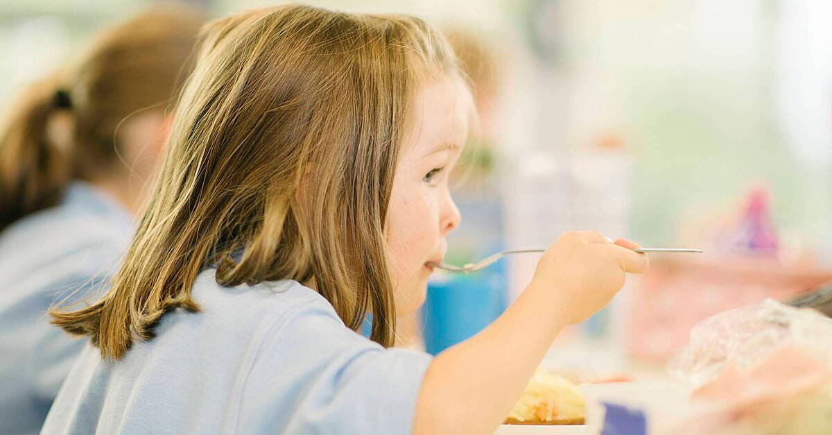 Wasted Bites: Nearly One in Five Primary School Meals End Up in the Bin