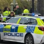 Westminster Bridge Reopens After Police Detain Suspect in Security Scare