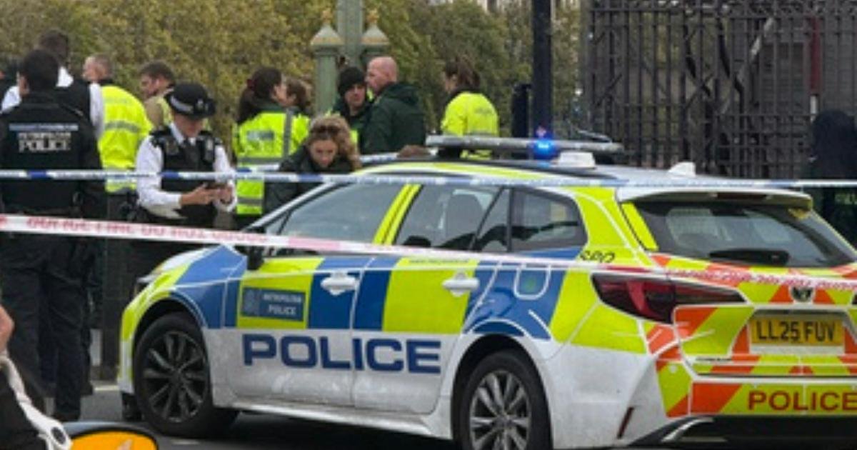 Westminster Bridge Reopens After Police Detain Suspect in Security Scare