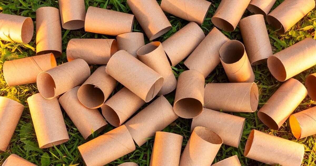 Why Britain’s Gardeners Are Hoarding Toilet Rolls This Autumn