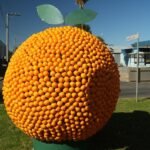 Zest of the Community: Griffith’s Citrus Sculptures Weave Art into Commerce